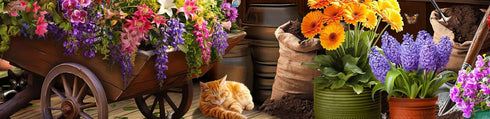 Ceaco Colorful Potting Shed 500 Piece Jigsaw Puzzle