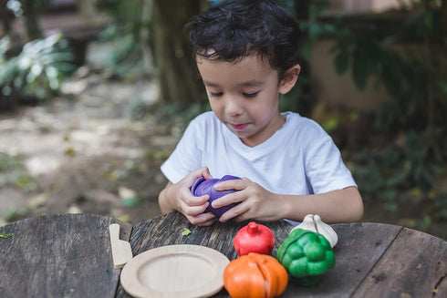 PLAN TOYS Plantoys - Eco-friendly Educational Toy, Multi-Color (3431)