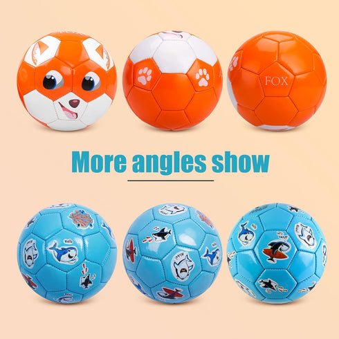 Pack of 2 Size 2 Soccer Balls for Kids, Toddler Balls with Pump, Backyard Lawn Outdoor Toys for Boys and Girls