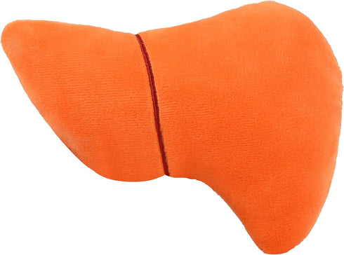 GIANTmicrobes Stuffed Liver Plush, Anatomical Liver Stuffed Animal, Hepatologist Gift
