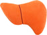 GIANTmicrobes Stuffed Liver Plush, Anatomical Liver Stuffed Animal, Hepatologist Gift