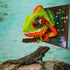 Set; Set Hobbies(2688 BDYDT Wall Art Chameleon Building Blocks A Wall Decor for Adults Who Love Creative Pieces) Toys