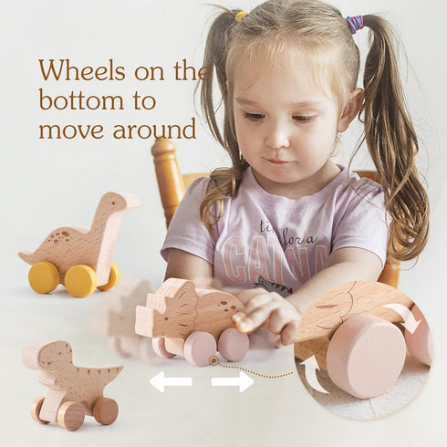 Wooden Dinosaur Cars Montessori Toys, Baby Push Car Toys, Developmental Infant Grasping Toys (3PCS)