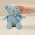 100% Organic Cotton Blue Teddy Bear Baby Toys, 6.5" Stuffed Animals for Newborn