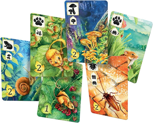 Meadow Board Game - Nature Observing Drafting and Set Collection Game, Strategic Exploration, Fun Family Game for Kids