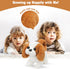 Plush Saint Bernard Toy Puppy - Electronic Interactive Dog for Kids, Walking, Barking, Tail Wagging Companion