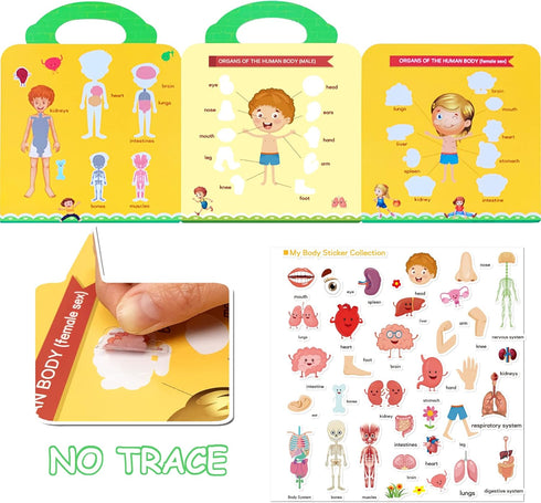 ZAKVOOR 3 Sets Reusable Sticker Books for Kids Toddlers, Educational Stickers Toy (Animals + Dinosaurs + My Body)