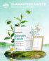360PCS Official Detergent Cleaning Tablets: for Baby Brezza Grownsy Papablic Momfann Bottle Washer - Baby Bottle Washer