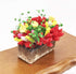Dollhouse Decoration Plant Pots - Miniature Green Potted Bonsai Model Accessories, 1:12 Scale