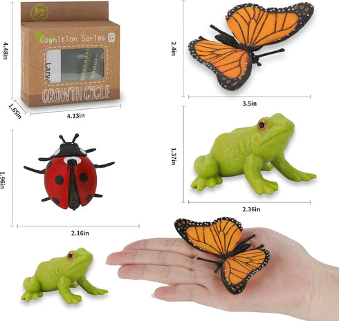Montessori Life Cycle Learning Toys - Plastic Insect Ladybug, Butterfly & Tadpole-to-Frog Kit for Kids