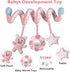 Car Seat Toys, Infant Baby Pink Pig Spiral Activity Hanging Toys Stroller Toys for Car Seat Stroller Bar Crib Bassinet Mobile with Mirror BB Squeaker and Rattles