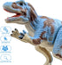 SAURAWAN 1-3 3-5 5-7, Allosaurus Wind Up Dinosaur Toys for Kids Realistic Dino Easter Wind Up Toy, Novelty Jumping