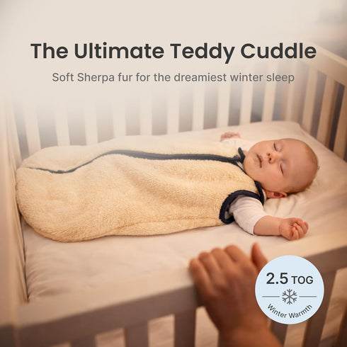 2.5 0-6 Baby Deedee Sleep Nest Teddy - Baby Sleep Sack TOG Months, Warm Sherpa Faux Fur & Cotton Lined Sleeping Bag