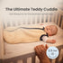 2.5 0-6 Baby Deedee Sleep Nest Teddy - Baby Sleep Sack TOG Months, Warm Sherpa Faux Fur & Cotton Lined Sleeping Bag