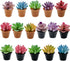 Cayway Dollhouse Plant Miniature 16 PCS Artificial Plant Tiny Bonsai Model for Doll House Garden Decorations