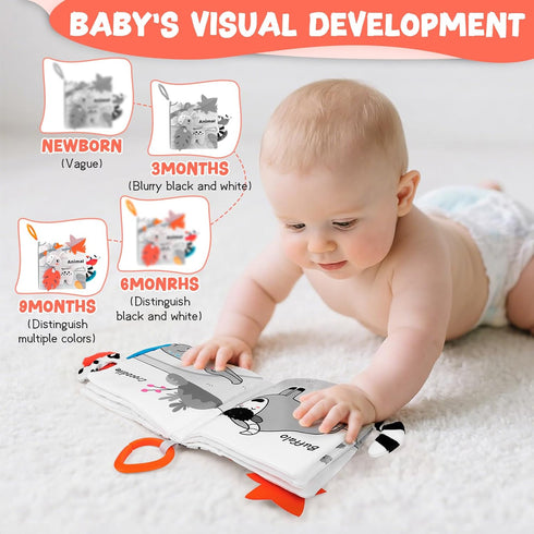 Odeepstar 0-12 Baby Book Months, Crinkle Cloth Book with Rattle & Touch and Feel Sensory Toys, Soft Teether