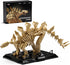 Nifeliz Stegosaurus Fossils Model Set, Dinosaur Skeleton Building Set with Display Base