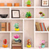 10 Pack Set 990 Sawaruita Succulent Mini Plant Building Blocks for Adults - Pcs Flower Botanical Collection Home Office