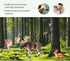 Volnau Safari Animal Figurines Toys, 9PCS Eurasia Figures for Toddlers, Kids Christmas Decoration Gift