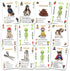 SOLARQUEST Alien Encounters with Dogs Card Game