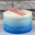 Gemini&Genius Squid Toy for Kids, Marine Bioluminescent Cuttlefish Action Figure, Great for Educational Gifts, Cake