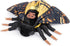 Giant Death's-Head Hawkmoth Plush Toy, Realistic 26in Soft Stuffed Animal, Unique Gift for Kids