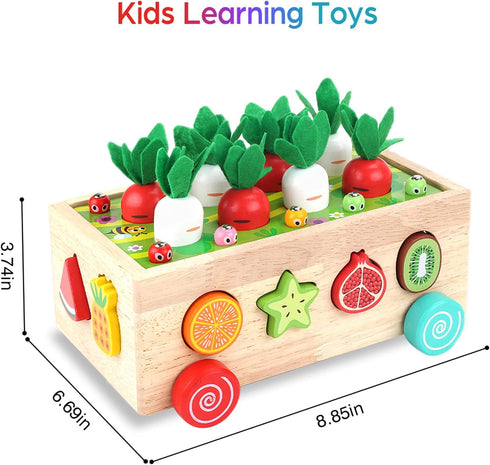 1 2 3 1st 1-3, Toddlers Montessori Wooden Educational Toys for Baby Boys Girls Age Year Old, Shape Sorting Toys One