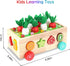 1 2 3 1st 1-3, Toddlers Montessori Wooden Educational Toys for Baby Boys Girls Age Year Old, Shape Sorting Toys One
