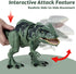 3-5 5-7, Giganotosaurus Dinosaur Toys for Kids & Dinosaur Action Figure Toys with Attack Feature, Sound, Roar & Light