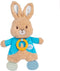 Kids Preferred Beatrix Potter Peter Rabbit Flat Sensory Blanky Interactive Baby Teether