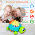 6 12 12 Tummy 8 9 10 Baby Toys to Months Crawling Turtle Musical Infant Toy for Months Old Light Up Time Toys Early