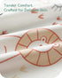 TOTCHILL Pack 2 Pack, 38x26 Pack and Play Sheets Fitted Graco n Play Sheets for Playard & Travel Crib Mattress, Ultra