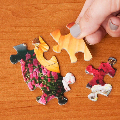 Bits and Pieces - 300 Piece Jigsaw Puzzle for Adults, Fresh Flowers - 300 pc Large Piece Country Dogs Puzzle