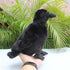 Realistic Crow Plush, Cute Black Raven Stuffed Animal, 9.44'' Soft Little Bird Toys for Kids Gifts