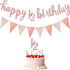 Boao Pre-Strung Half Birthday Decorations Set, Glitter 1/2 Half Year Cake Topper, 6 Months Happy Banner for Baby Shower