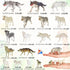 Deekin 20 Pcs Mini Around World City Miniatures, Realistic Themed Party Gifts (Wolf)