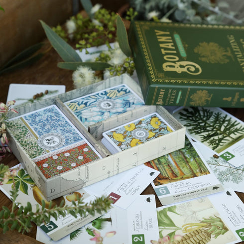 8+ 1-5 45-90 Botany: Tantalizing Trees Expansion | Family Strategy Game for Young Botanists and Adults | Ages |