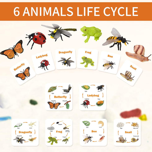 MIKNEKE 6 Count, 3+ Montessori Animal Life Cycle Figurines, Plastic Miniature Educational Toys, Ages
