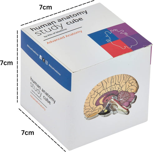 Kits of Medicine 9 Human Anatomy Study Cube | Study Parts of The Human Body | Perfect Anatomy Revision Guide |