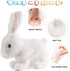 Liberty Imports Interactive Plush Bunny Rabbit Toy for Kids