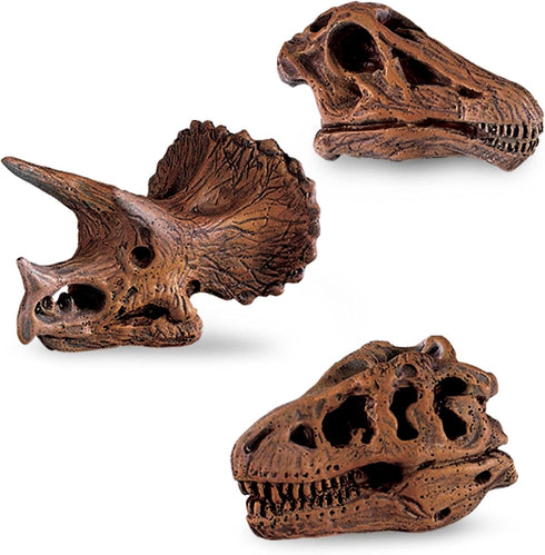 Safari Ltd Dinosaur Skulls TOOB - 11 Mini Figurines Including Velociraptor, Brachiosaurus, and More - Educational Toy