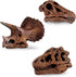 Safari Ltd Dinosaur Skulls TOOB - 11 Mini Figurines Including Velociraptor, Brachiosaurus, and More - Educational Toy