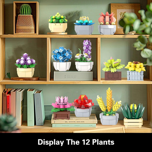 Set Sets, 12 (1174 Succulents for Adults Building Plants, Home Decor, Birthday Gifts for Women, Creative Housewarming