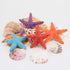 Starfish for Crafts, 4PCS 3 Inch Starfish Decor Ornaments for Kids and Toddler Sea Shells