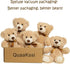 Teddy Bears Bulk 5 Packs Plush Stuffed Animals Gift for Kid Girlfriend, 13.5 Inches for Christmas Valentine’s Day