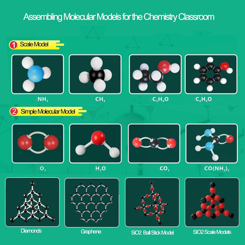 Organic Chemistry Molecular Model Kit 206pc, Educational Science Set for Middle and High School Students, Gift for