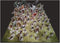 Free League Publishing: Dragonbane Monsters Standee Set - RPG Accessory with 64 Full-Color Cardboard Characters