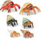 6PCS Hermit Crab Figurines Toys,Ocean Sea Animals Toys Figures, Realistic Soft Sea