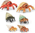 6PCS Hermit Crab Figurines Toys,Ocean Sea Animals Toys Figures, Realistic Soft Sea