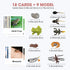 MEROCO Live Tadpole to Frog Life Cycle Toys for Kids, Educational Insect Matching Game